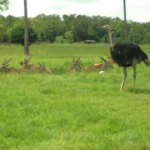 Meet your Posher, Anne-marie